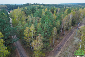 Działka na sprzedaż 1306m2 bydgoski Białe Błota Zielonka - zdjęcie 1