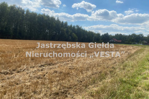 Działka na sprzedaż 8967m2 pszczyński Pawłowice Pielgrzymowice - zdjęcie 1