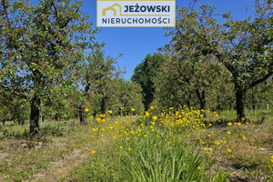 Działka na sprzedaż 5144m2 puławski Kazimierz Dolny Jeziorszczyzna - zdjęcie 3