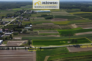 Działka na sprzedaż 10957m2 puławski Końskowola Stary Pożóg - zdjęcie 2