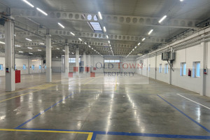 Komercyjne do wynajęcia 1200m2 Lublin Konstantynów - zdjęcie 1