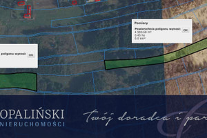 Działka na sprzedaż 12000m2 rzeszowski Lubenia - zdjęcie 1