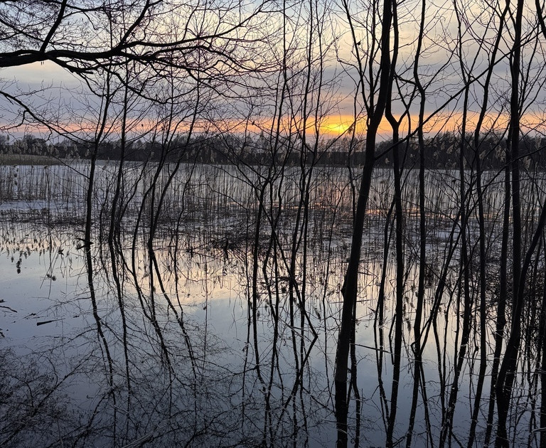 Działka rekreacyjna nad jeziorem z linią brzegową