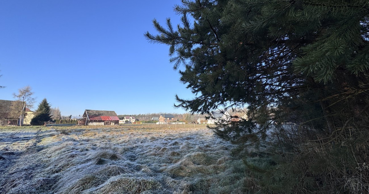 Wyjątkowa, uzbrojona działka pod lasem