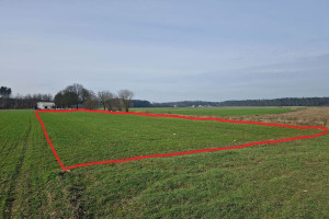 Działka na sprzedaż 320m2 grodziski Grodzisk Wielkopolski Słocin - zdjęcie 1