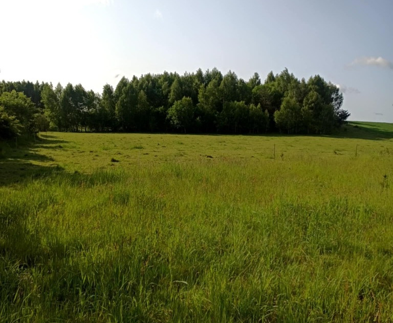 Działka pod zabudowę jednorodzinną mieszkaniową
