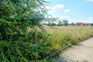 Działka na sprzedaż 1300m2 toruński Lubicz Grębocin Przyjazna - zdjęcie 1