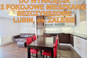 Mieszkanie do wynajęcia 39m2 lubiński Lubin Składowice - zdjęcie 1