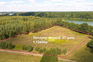 Działka na sprzedaż 11343m2 działdowski Lidzbark Tarczyny - zdjęcie 3