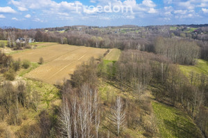 Działka na sprzedaż 2700m2 rzeszowski Lubenia - zdjęcie 1