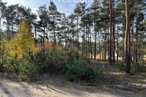 Działka na sprzedaż 1000m2 toruński Zławieś Wielka Czarne Błoto Górna - zdjęcie 1