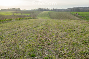 Działka na sprzedaż 5600m2 tarnowski Skrzyszów Łękawica - zdjęcie 2