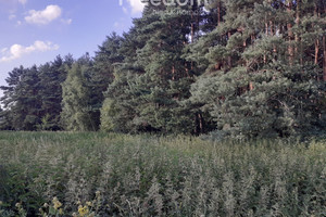 Działka na sprzedaż 20573m2 aleksandrowski Ciechocinek - zdjęcie 1