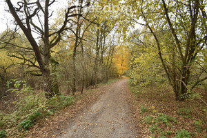 Działka na sprzedaż 27300m2 gliwicki Pilchowice - zdjęcie 1