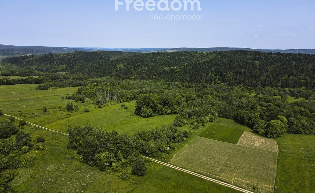 1,38 ha pod siedlisko, pasiekę lub fotowoltaikę