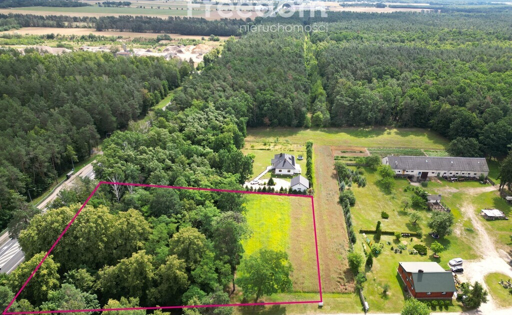 Działka budowlana z własnym lasem | 5804 m² | Hola