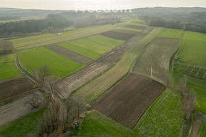 Działka na sprzedaż 5600m2 tarnowski Skrzyszów Łękawica - zdjęcie 3