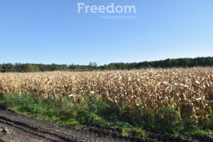 Działka na sprzedaż 9000m2 namysłowski Namysłów Łączany - zdjęcie 3