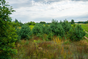 Działka na sprzedaż 4686m2 wołomiński Klembów Rasztów - zdjęcie 1