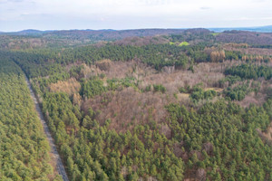 Działka na sprzedaż 51143m2 olkuski Klucze Krzywopłoty - zdjęcie 1