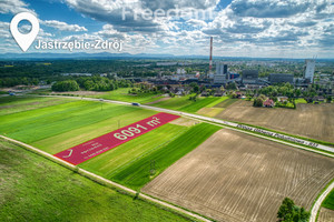 Działka na sprzedaż 6091m2 Jastrzębie-Zdrój Dębina - zdjęcie 1