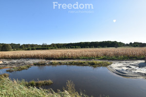 Działka na sprzedaż 9000m2 namysłowski Namysłów Łączany - zdjęcie 4