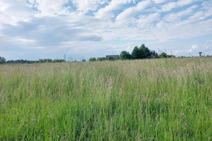 Działka na sprzedaż 900m2 Białystok Dojlidy Górne - zdjęcie 4