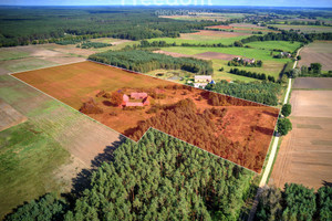 Dom na sprzedaż 300m2 czarnkowsko-trzcianecki Czarnków Jędrzejewo - zdjęcie 1