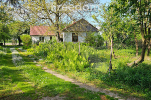 Działka na sprzedaż 55700m2 chełmski Dorohusk Wołyńska - zdjęcie 1