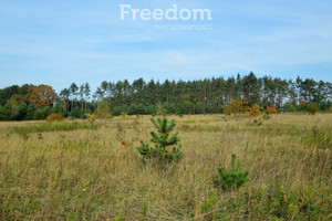 Działka na sprzedaż 735m2 opolski Dąbrowa Siedliska - zdjęcie 3