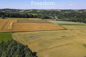 Działka na sprzedaż ropczycko-sędziszowski Wielopole Skrzyńskie Brzeziny - zdjęcie 1