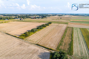 Działka na sprzedaż 7500m2 lubelski Niemce Rudka Kozłowiecka - zdjęcie 2