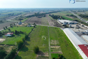 Działka na sprzedaż 1000m2 lubelski Niemce - zdjęcie 2