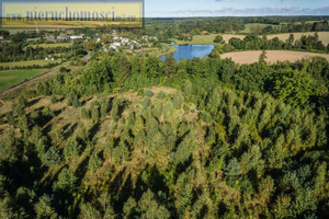 Działka na sprzedaż 26711m2 lęborski Nowa Wieś Lęborska Lędziechowo - zdjęcie 2