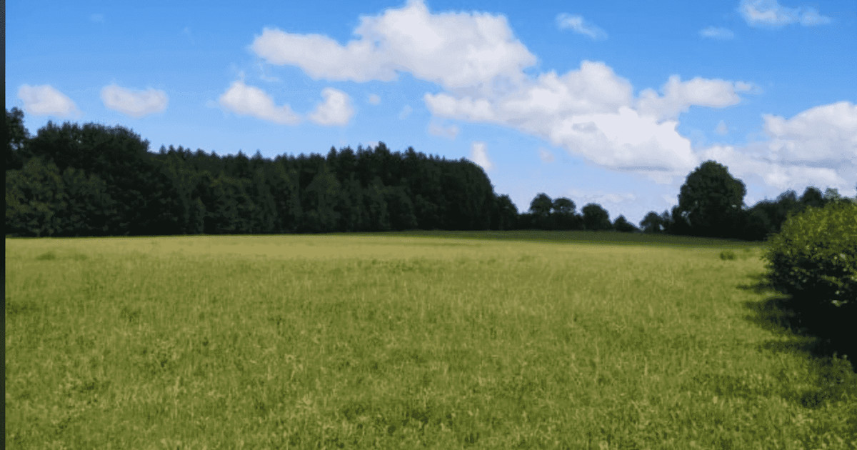 DZIAłKA blisko Morza Bałtyckiego, Puszcza Darżlubska, Jezioro Żarnowieckie