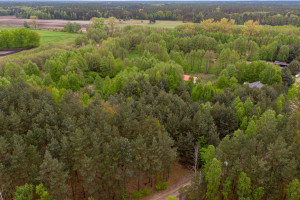 Działka na sprzedaż 1680m2 ostrowski Sośnie Kocina - zdjęcie 3