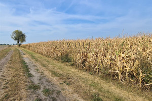 Działka na sprzedaż 19370m2 gliwicki Wielowieś - zdjęcie 1