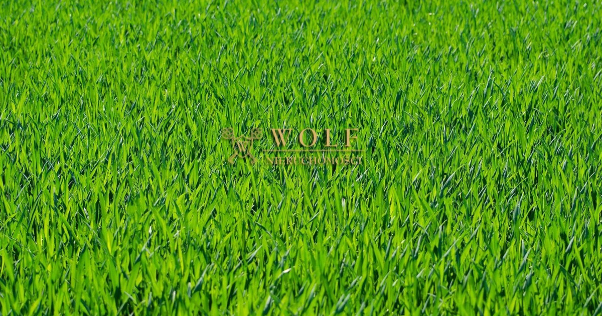 Widokowa działka- Bobrowniki, dzielnica Sączów