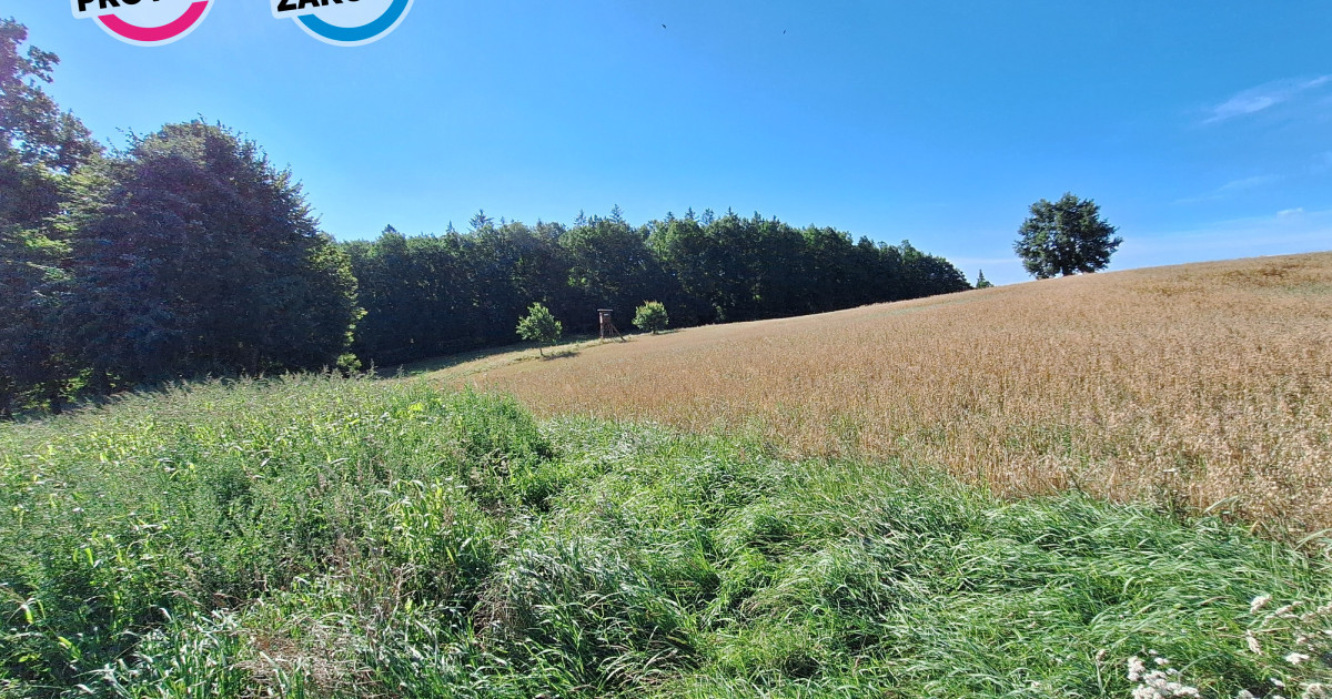 Działki BUDOWLNE na Kaszubach KCZEWO/Przodkowo