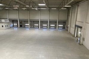 Komercyjne do wynajęcia 1080m2 Łódź Olechowska - zdjęcie 1