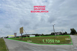 Działka na sprzedaż 11058m2 radomski Jedlińsk Wielogóra Ceglana - zdjęcie 3