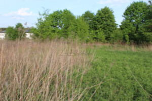 Działka na sprzedaż 1167m2 warszawski zachodni Łomianki Łomianki Dolne Brzegowa - zdjęcie 2