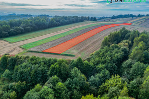 Działka na sprzedaż 5100m2 krakowski Liszki Czułów - zdjęcie 1