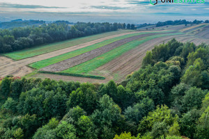 Działka na sprzedaż 5100m2 krakowski Liszki Czułów - zdjęcie 2