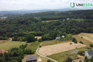 Działka na sprzedaż 4300m2 wielicki Gdów Hucisko - zdjęcie 1