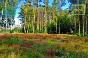 Działka na sprzedaż 1501m2 wejherowski Szemud Kamień Nad Brzegiem - zdjęcie 3