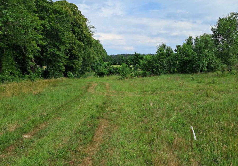 Działka rolna z własnym lasem w Mierzynie