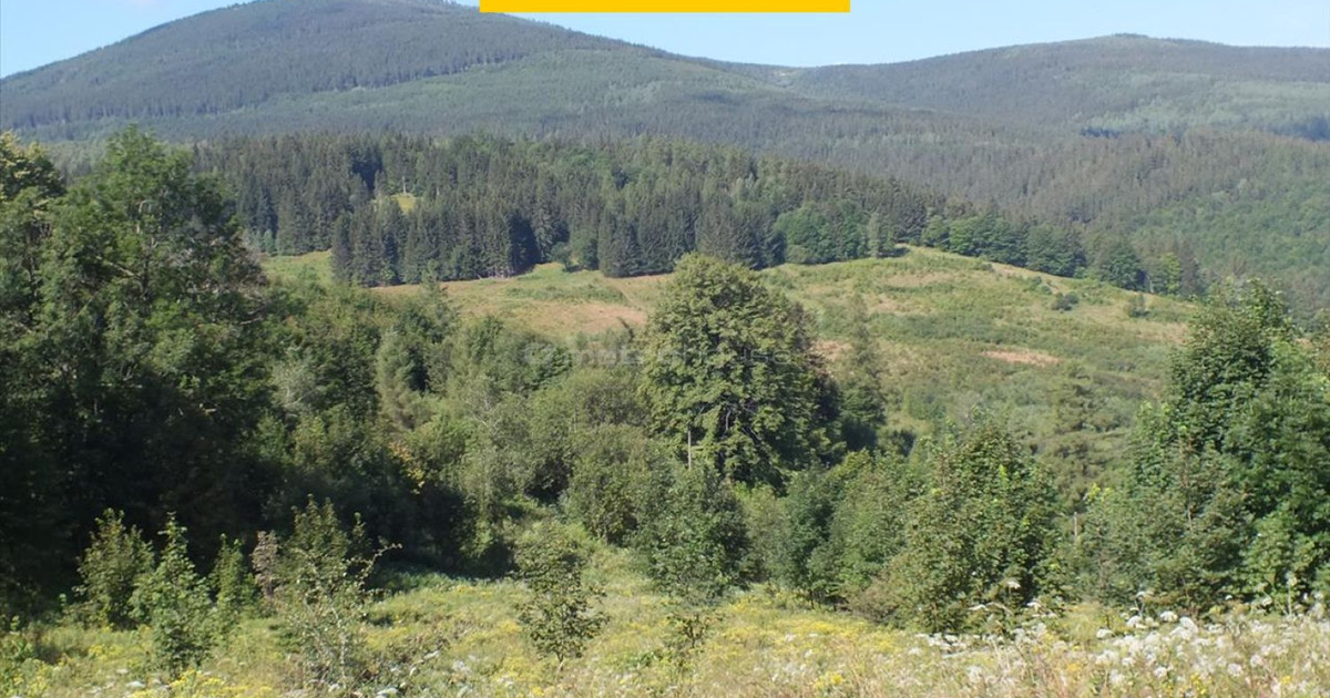 Widokowa działka w Karkonoszach