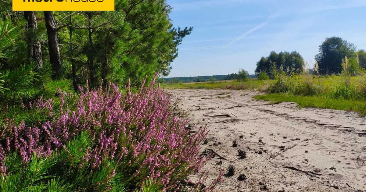 Działka w Helenowie, powiat Wołomiński