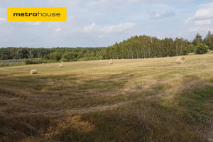 Działka na sprzedaż 19079m2 poznański Stęszew Wielka Wieś Bukowska - zdjęcie 1